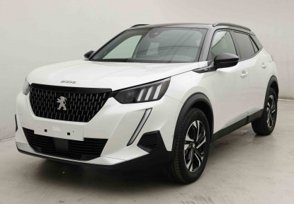 PEUGEOT_PEUGEOT_2008_2653615_25.jpg