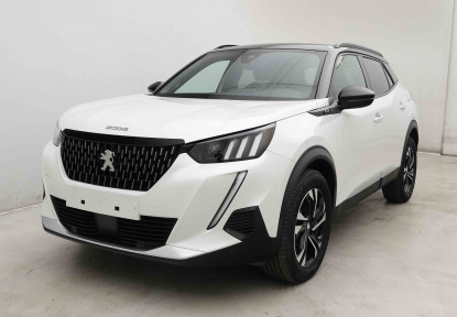 PEUGEOT_PEUGEOT_2008_2653616_26.jpg