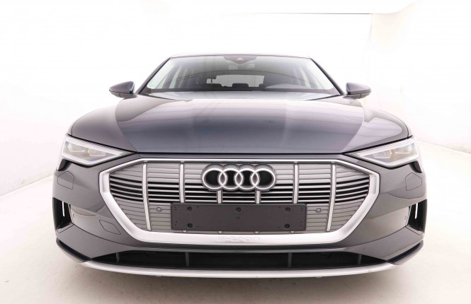 AUDI_AUDI_E_TRON_2548419_28.jpg