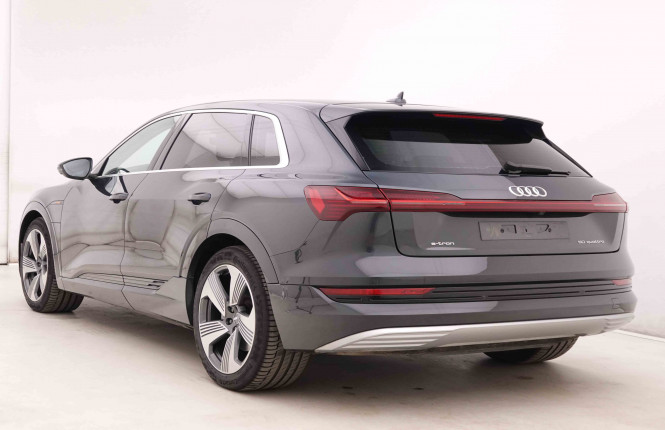 AUDI_AUDI_E_TRON_2548419_30.jpg