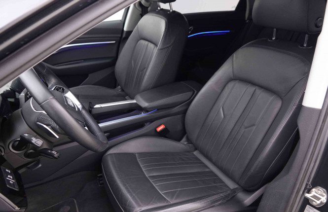 AUDI_AUDI_E_TRON_2548419_7.jpg