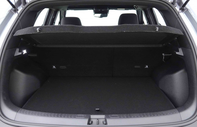 BYD_BYD_ATTO 2_2654616_5.jpg