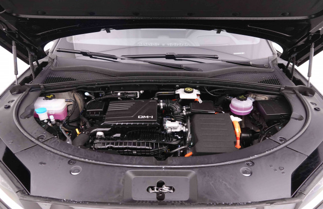 BYD_BYD_SEAL U_2549576_31.jpg