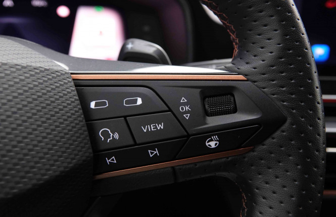 CUPRA_CUPRA_FORMENTOR_2550898_19.jpg CUPRA_CUPRA_FORMENTOR_2550898_19.jpg