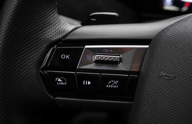 DS_DS_DS4_2551681_19.jpg DS_DS_DS4_2551681_19.jpg