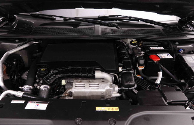 DS_DS_DS4_2551681_23.jpg DS_DS_DS4_2551681_23.jpg