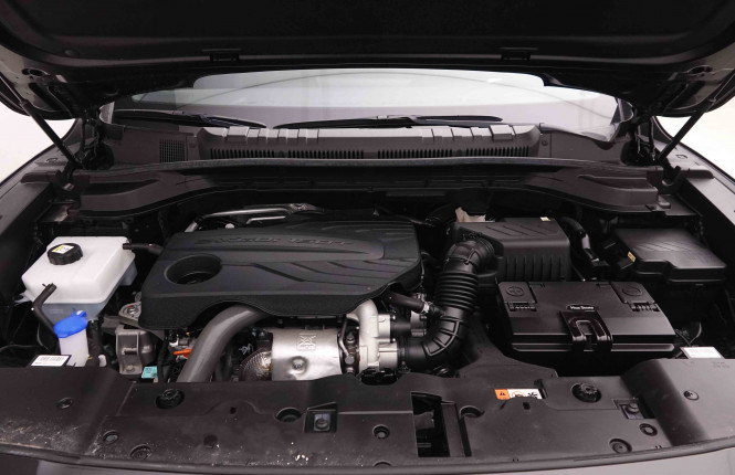 KGM_KGM_TORRES_2549846_21.jpg