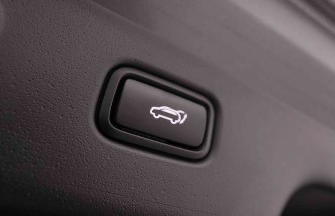 KIA_KIA_NIRO_2446396_5.jpg