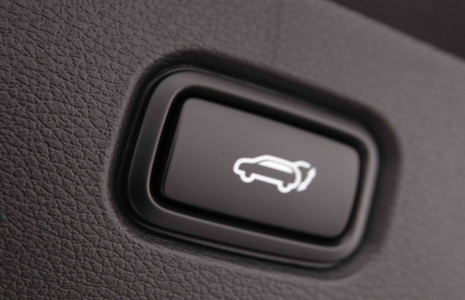 KIA_KIA_SPORTAGE_2550313_6.jpg KIA_KIA_SPORTAGE_2550313_6.jpg