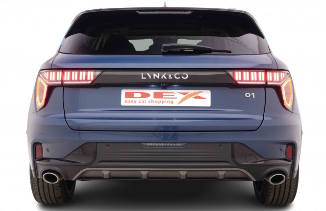 LYNKCO_LYNKCO_01_2445580_31.jpg