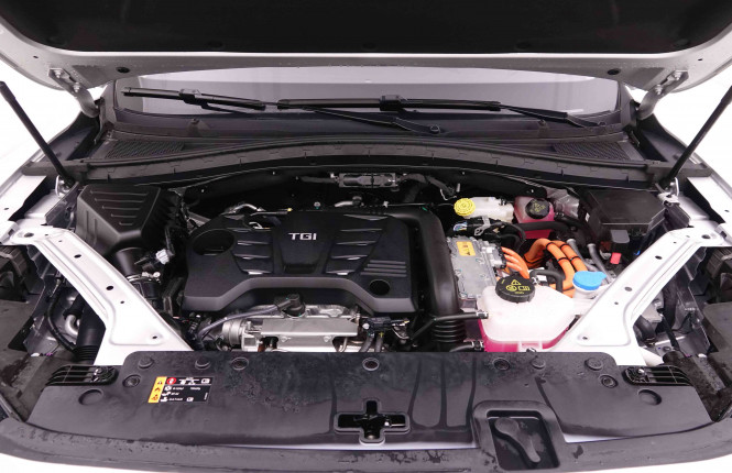 MG_MG_EHS_2445897_22.jpg