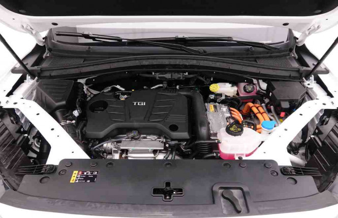 MG_MG_EHS_2548122_26.jpg
