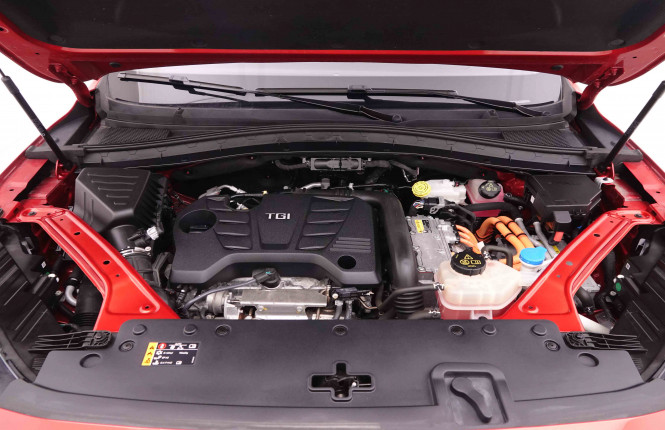 MG_MG_EHS_2548229_23.jpg