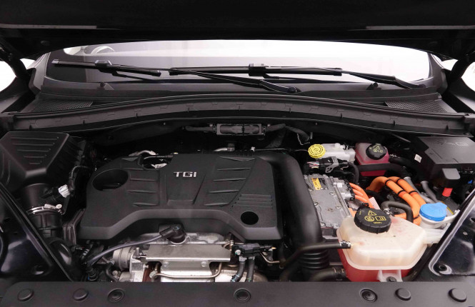 MG_MG_EHS_2652006_24.jpg MG_MG_EHS_2652006_24.jpg