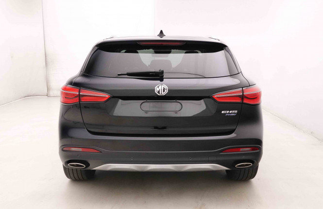 MG_MG_EHS_2652006_30.jpg MG_MG_EHS_2652006_30.jpg