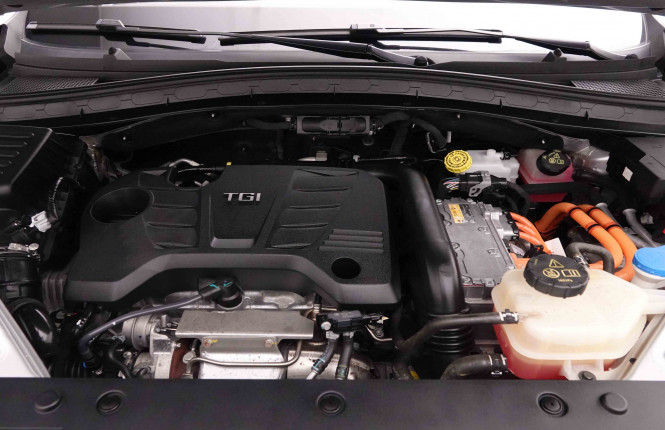 MG_MG_EHS_2652007_22.jpg MG_MG_EHS_2652007_22.jpg