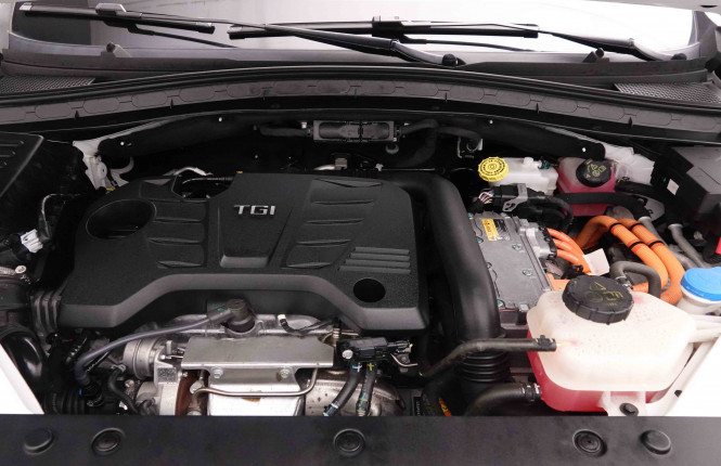 MG_MG_EHS_2652015_25.jpg MG_MG_EHS_2652015_25.jpg