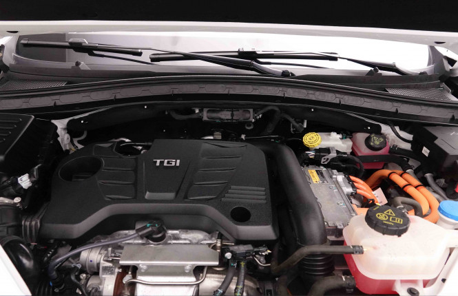 MG_MG_EHS_2652017_24.jpg MG_MG_EHS_2652017_24.jpg