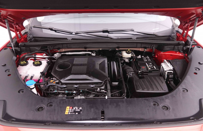 MG_MG_HS_2547817_22.jpg