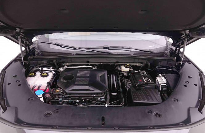 MG_MG_HS_2547963_25.jpg