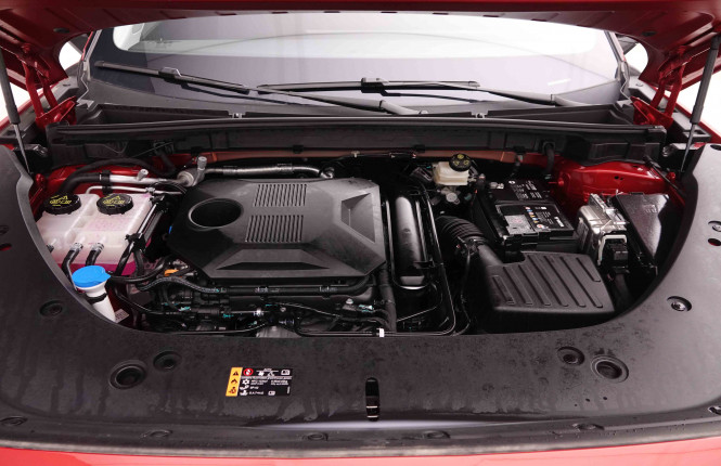 MG_MG_HS_2549231_22.jpg MG_MG_HS_2549231_22.jpg