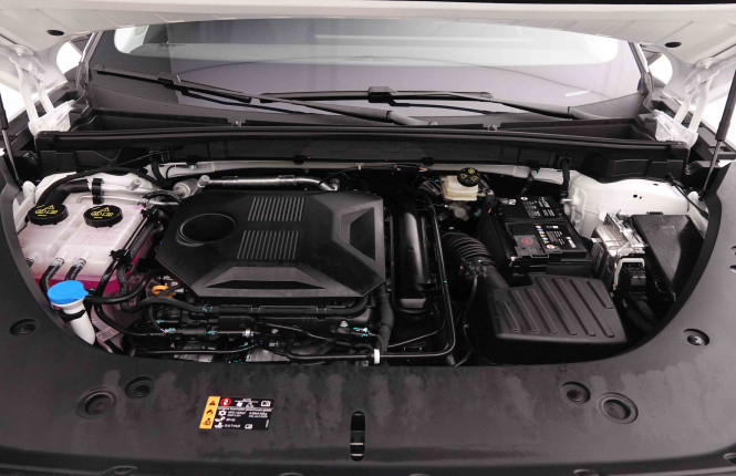 MG_MG_HS_2549239_22.jpg MG_MG_HS_2549239_22.jpg