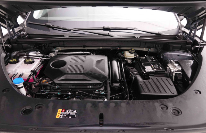 MG_MG_HS_2549246_22.jpg MG_MG_HS_2549246_22.jpg