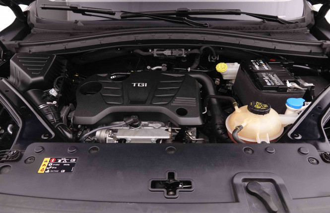 MG_MG_HS_2550498_22.jpg MG_MG_HS_2550498_22.jpg