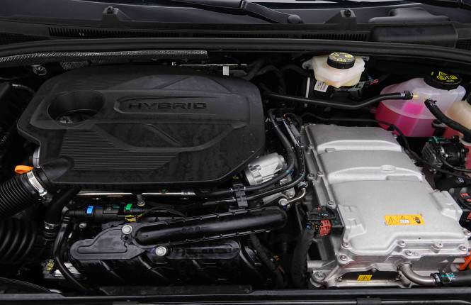 MG_MG_MG3_2655487_18.jpg MG_MG_MG3_2655487_18.jpg