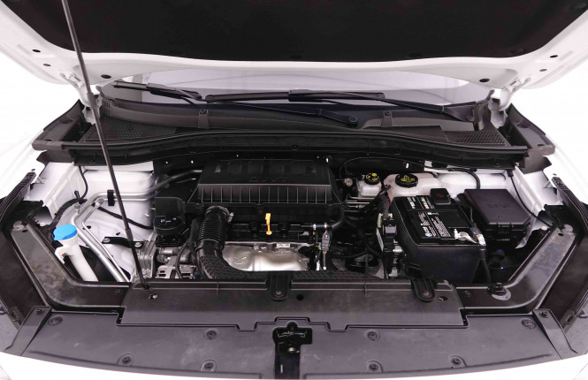 MG_MG_ZS_2548883_20.jpg