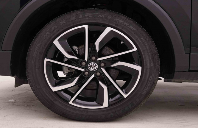 MG_MG_ZS_2548941_20.jpg