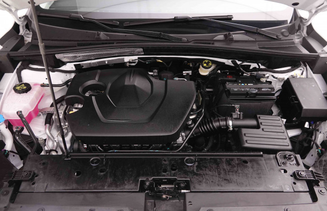 MG_MG_ZS_2549825_21.jpg