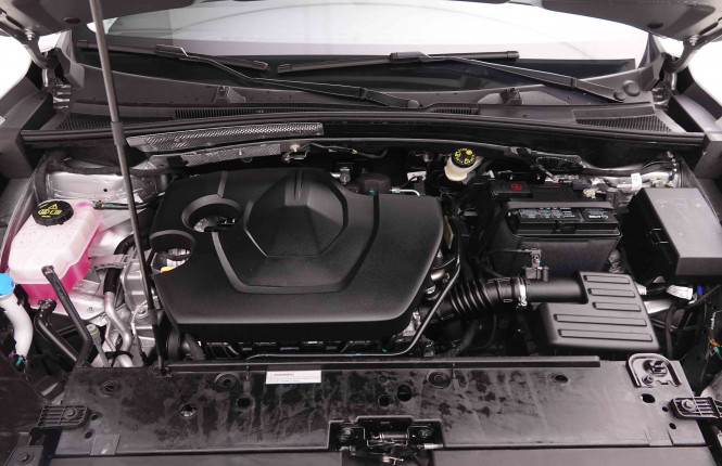 MG_MG_ZS_2549826_21.jpg