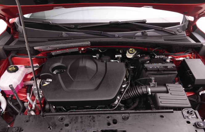 MG_MG_ZS_2549958_21.jpg