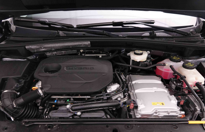 MG_MG_ZS_2652052_80.jpg