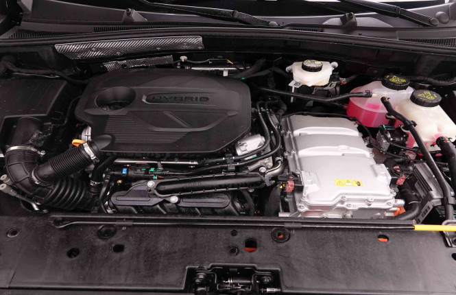 MG_MG_ZS_2652061_22.jpg
