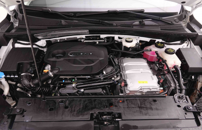 MG_MG_ZS_2652181_53.jpg MG_MG_ZS_2652181_53.jpg