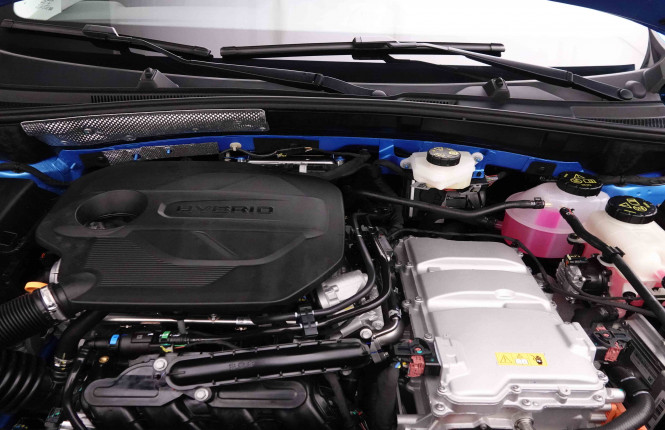 MG_MG_ZS_2652195_22.jpg MG_MG_ZS_2652195_22.jpg