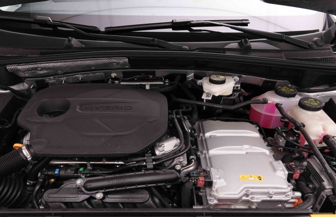 MG_MG_ZS_2652205_21.jpg