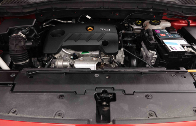 MG_MG_ZS_2652663_17.jpg MG_MG_ZS_2652663_17.jpg