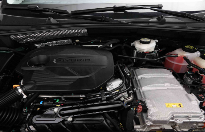 MG_MG_ZS_2653291_17.jpg MG_MG_ZS_2653291_17.jpg