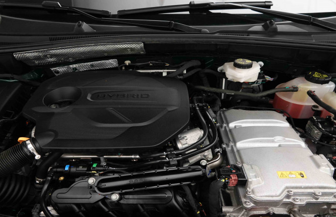 MG_MG_ZS_2653294_20.jpg MG_MG_ZS_2653294_20.jpg