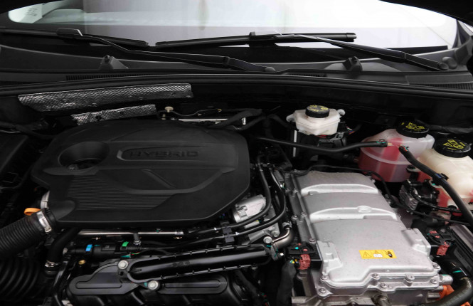 MG_MG_ZS_2653299_18.jpg MG_MG_ZS_2653299_18.jpg