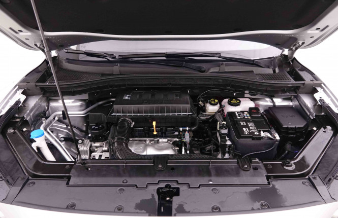 MG_MG_ZS_2654647_21.jpg MG_MG_ZS_2654647_21.jpg