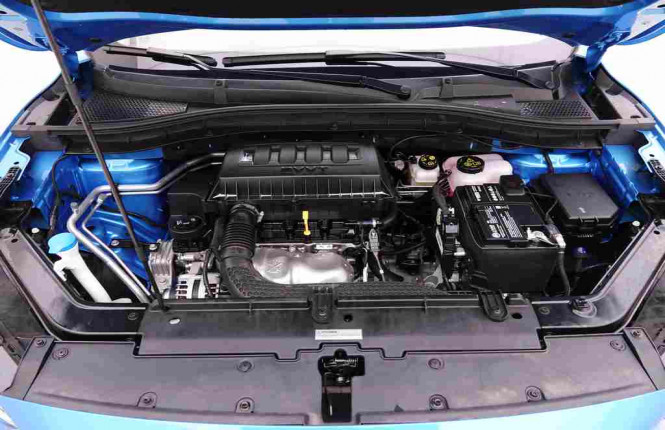 MG_MG_ZS_2654701_53.jpg MG_MG_ZS_2654701_53.jpg