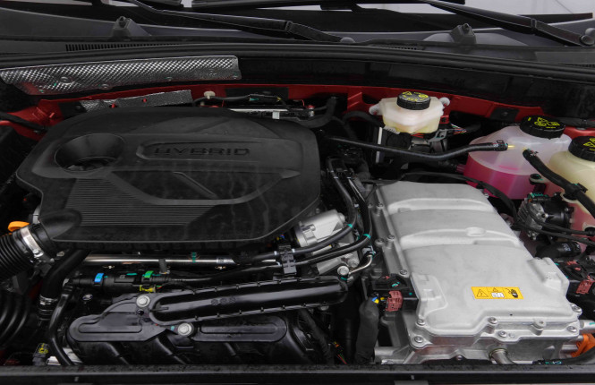 MG_MG_ZS_2654734_20.jpg MG_MG_ZS_2654734_20.jpg