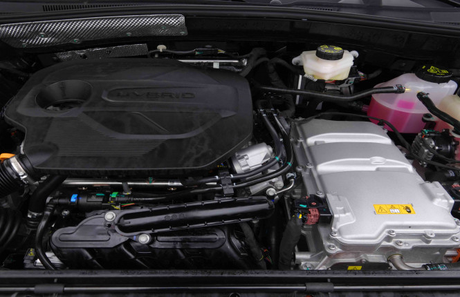 MG_MG_ZS_2654802_19.jpg MG_MG_ZS_2654802_19.jpg