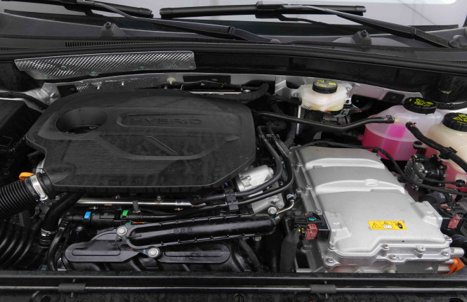 MG_MG_ZS_2654817_20.jpg MG_MG_ZS_2654817_20.jpg