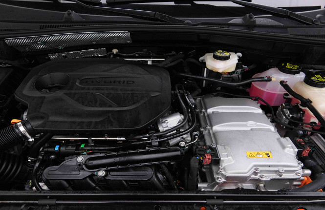MG_MG_ZS_2654984_19.jpg MG_MG_ZS_2654984_19.jpg