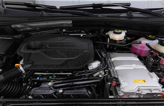MG_MG_ZS_2654993_18.jpg MG_MG_ZS_2654993_18.jpg